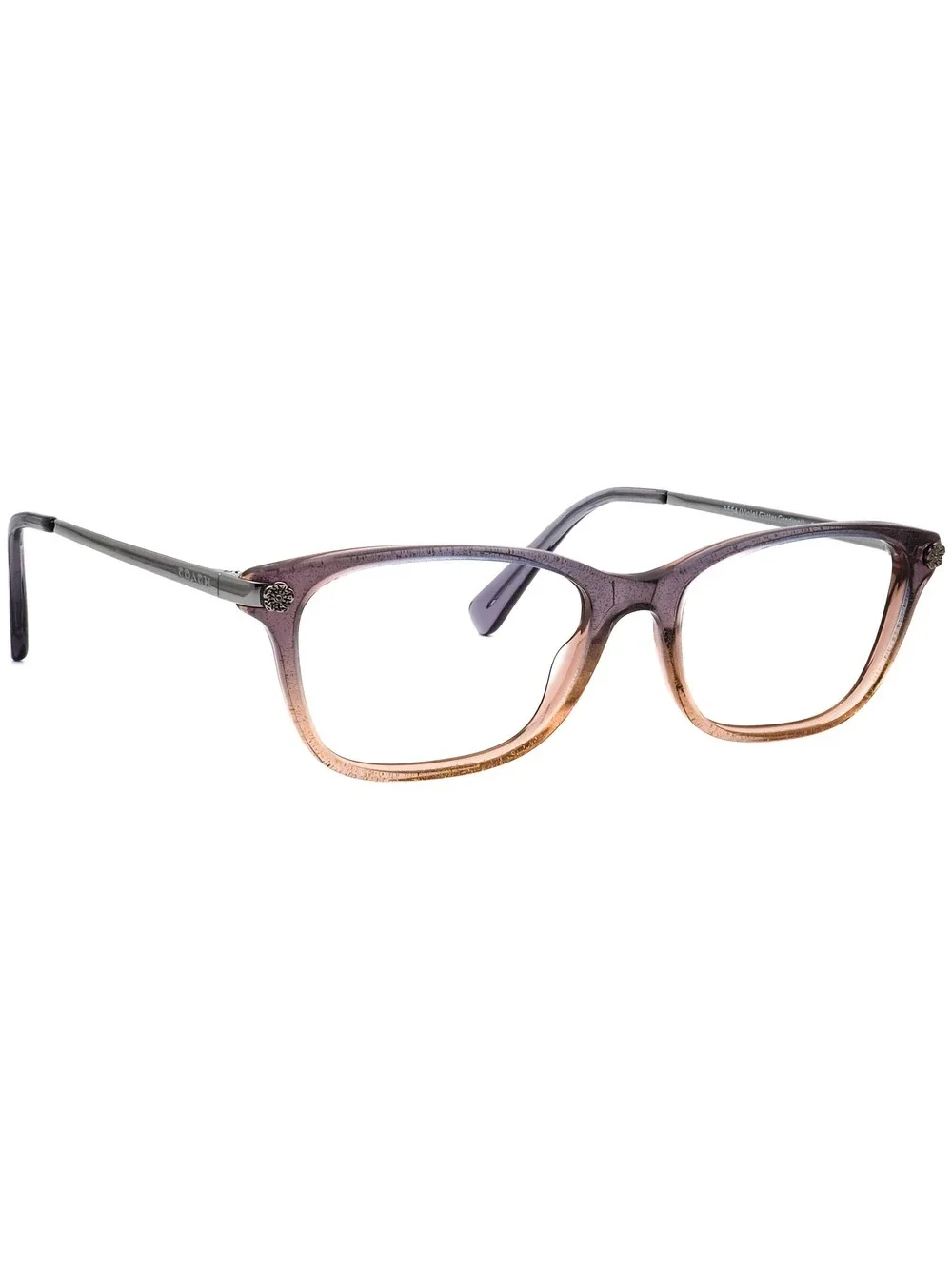 Coach HC 6142 5554 Eyewear